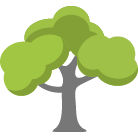 Flagstaff Tree Removal Service